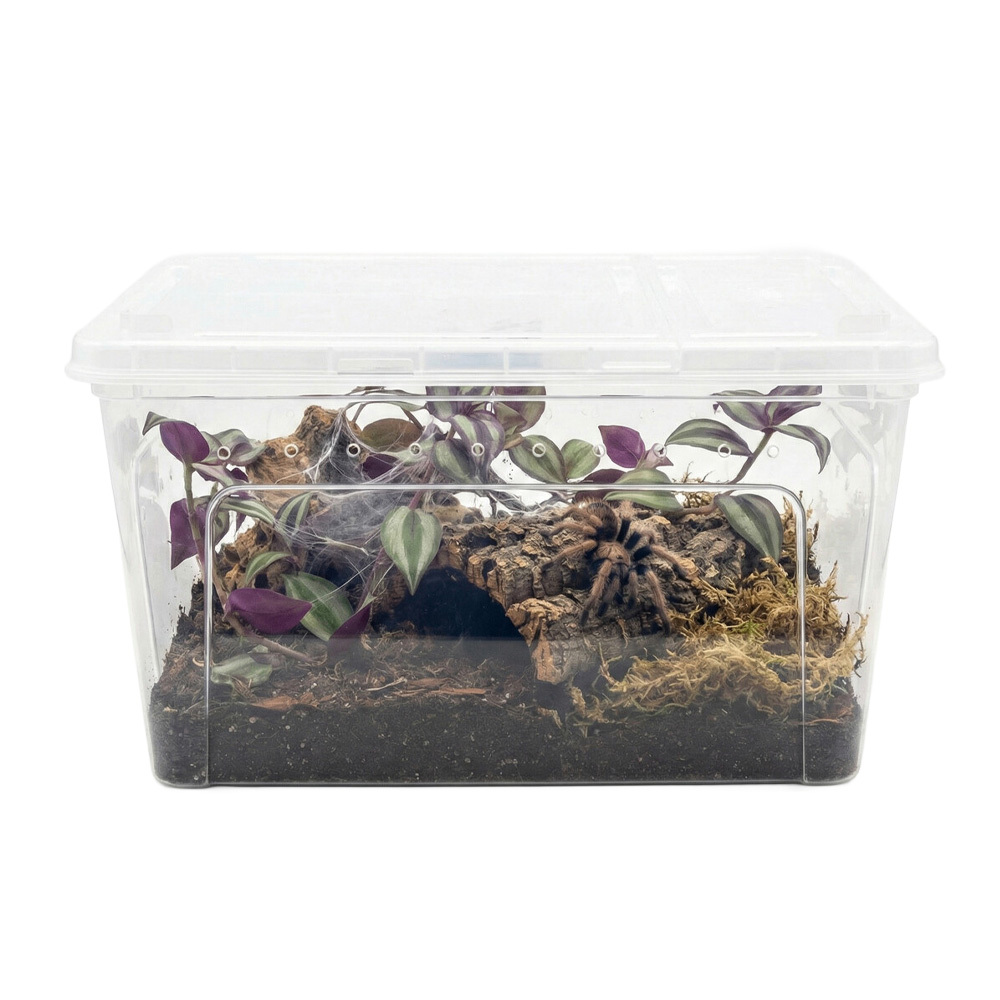 Happet Pojemnik Hodowlany Breeding Box dla Pająków 26x17,5x11,5cm